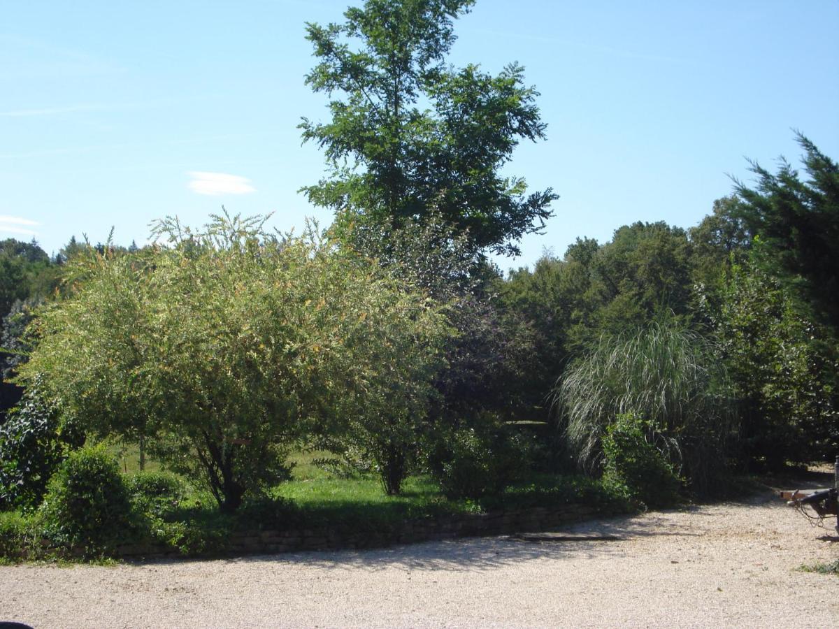 L'Oree Des Bois Dommartin-Les-Cuiseaux Buitenkant foto